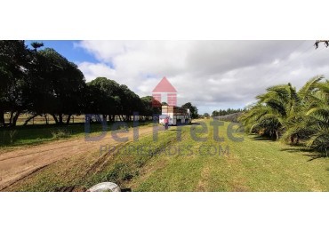 Venta  10  Hectareas 