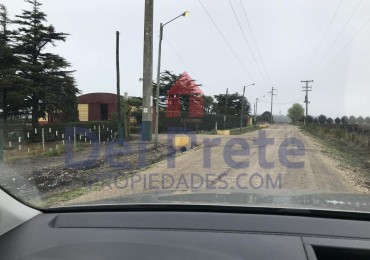 Establecimiento LA MILAGROSA 