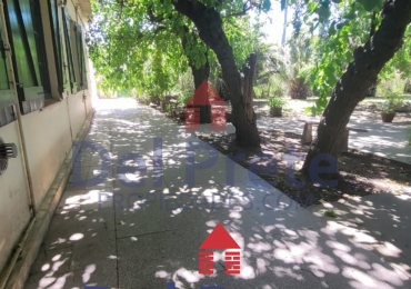 Venta  Manzana completa