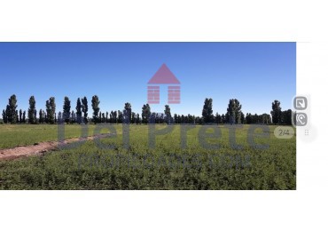 VENTA DOS CHACRAS LA PAMPA