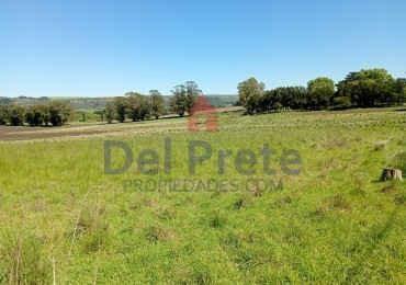 Venta  Campo  Paraje San Carlos 